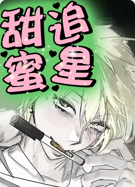 甜蜜追星封面