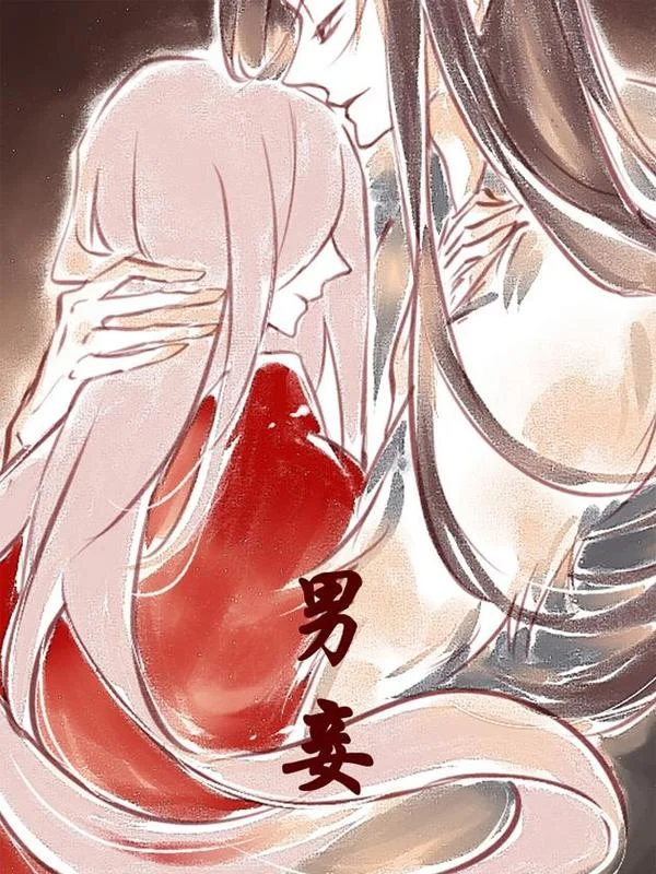 男妾封面