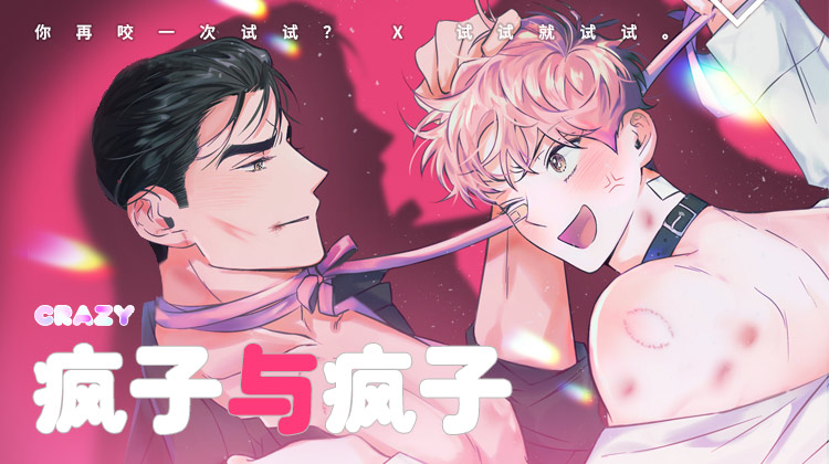 疯子与疯子（共2季）封面