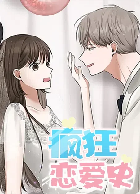 疯狂恋爱史封面