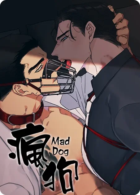 疯狗封面