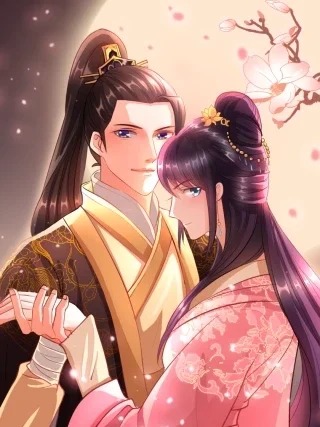 皇为妃封面