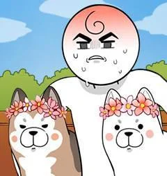 皮皮狗封面