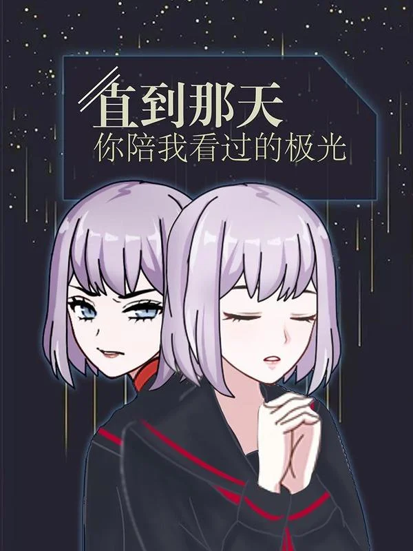 直到那天你陪我看过的极光封面