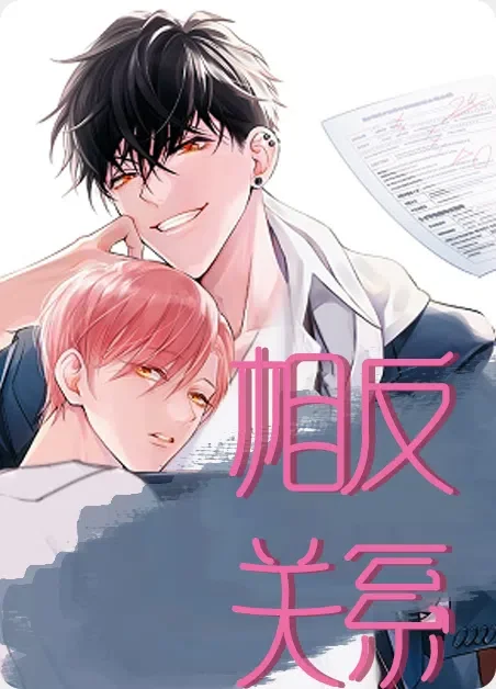 相反关系封面