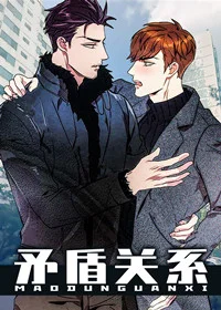 矛盾关系封面