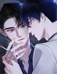 破晓之夜封面