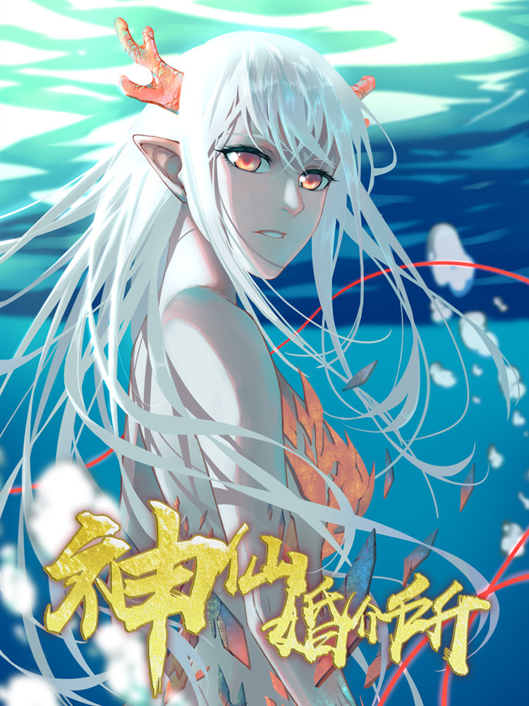 神仙婚介所封面