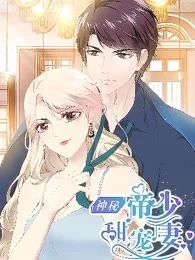 神秘帝少甜宠妻封面
