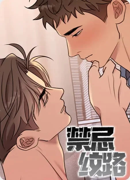 禁忌纹路封面