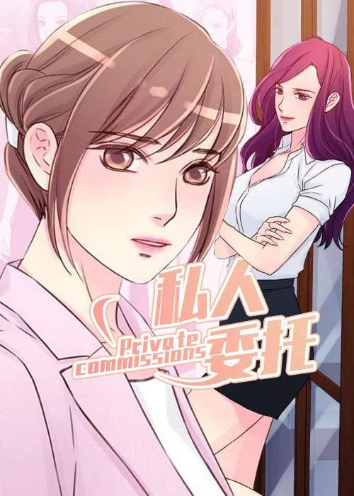 私人委托封面