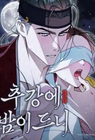 秋江入夜时封面