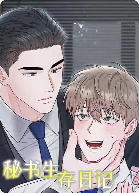秘书生存日记封面