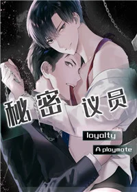 秘密议员封面