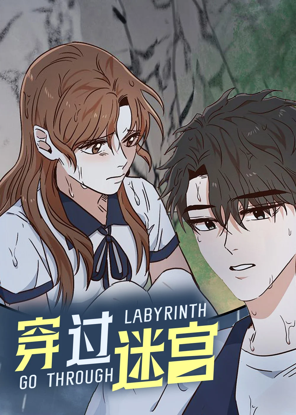 穿行迷宫封面