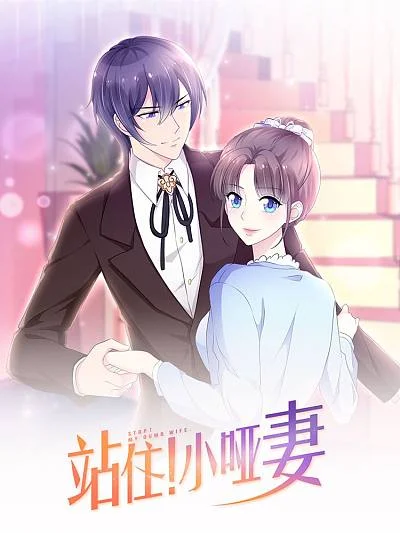 站住！小哑妻封面