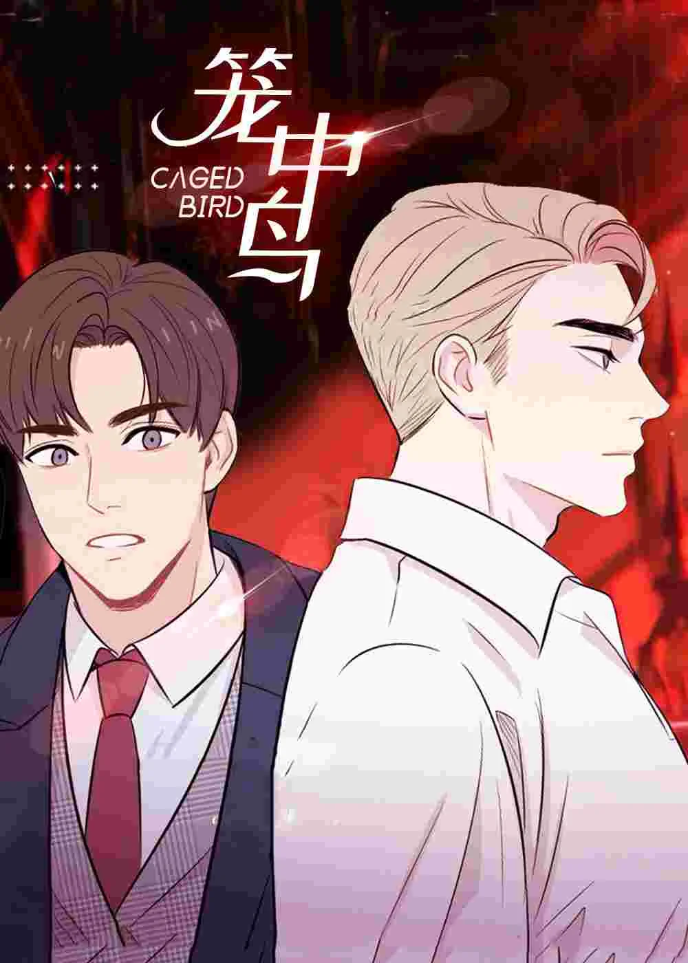 笼中鸟封面