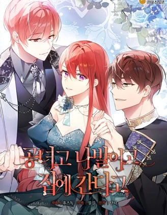 管他什么公女 我要回家封面