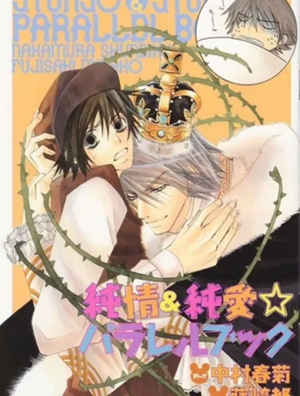 純情羅曼史封面