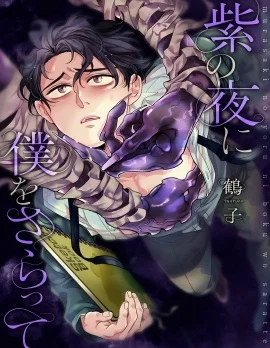 紫色夜魇，掠我而去封面
