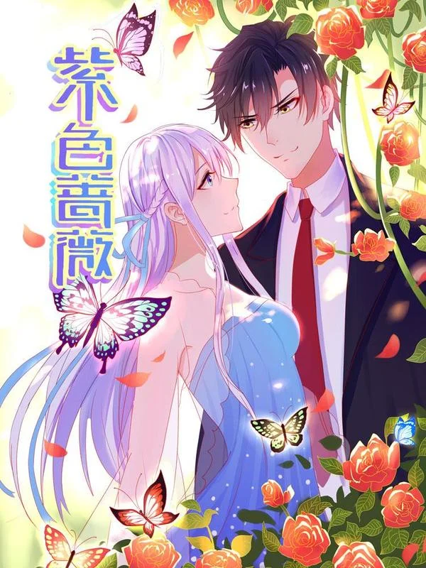 紫色蔷薇封面