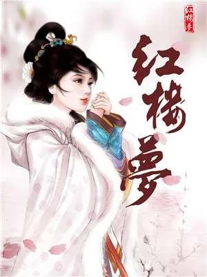 红楼梦封面