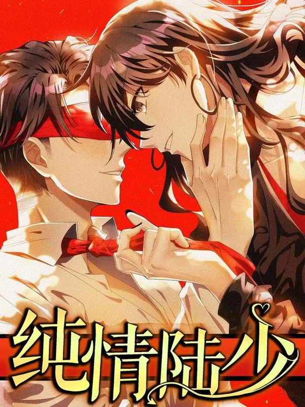 纯情陆少封面