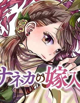 纱音花出嫁了封面