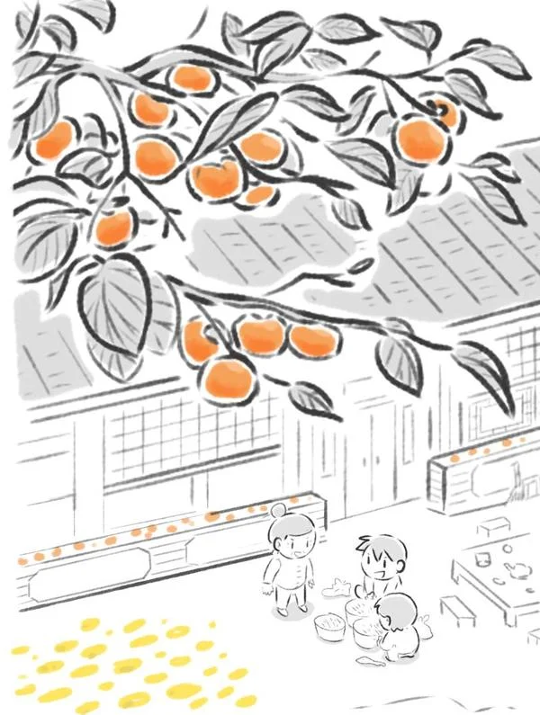 绵绵细雨织回忆封面
