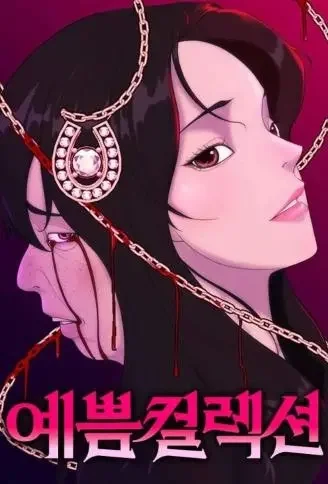美丽收藏封面