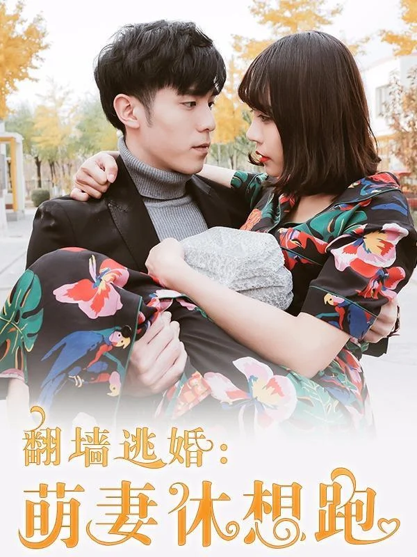 翻墙逃婚：萌妻休想跑（真人版）封面