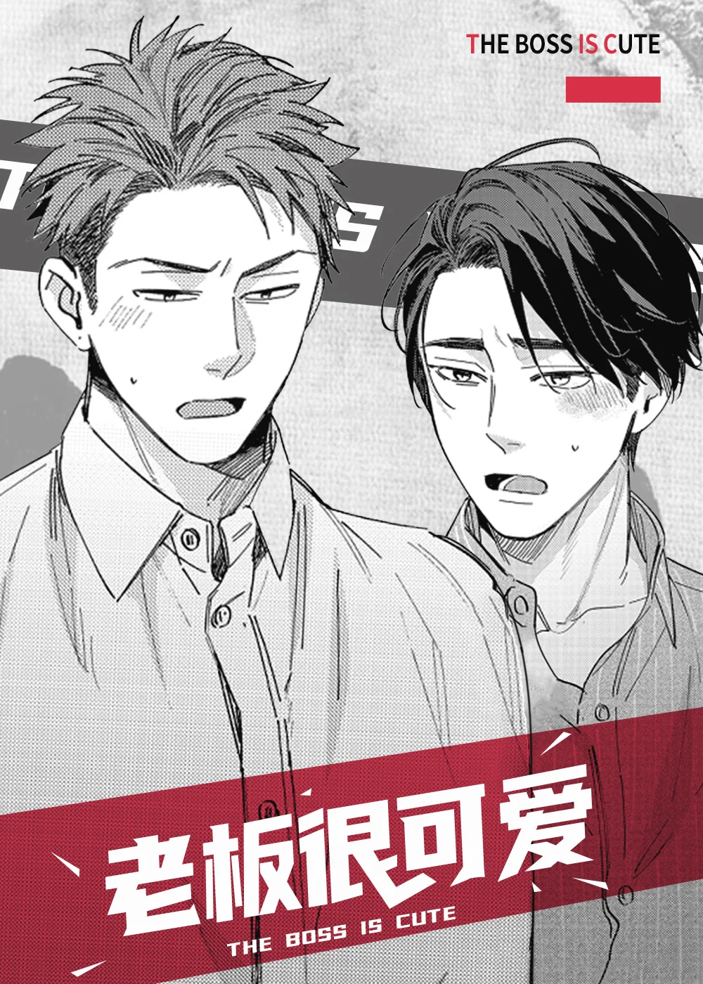 老板很可爱封面