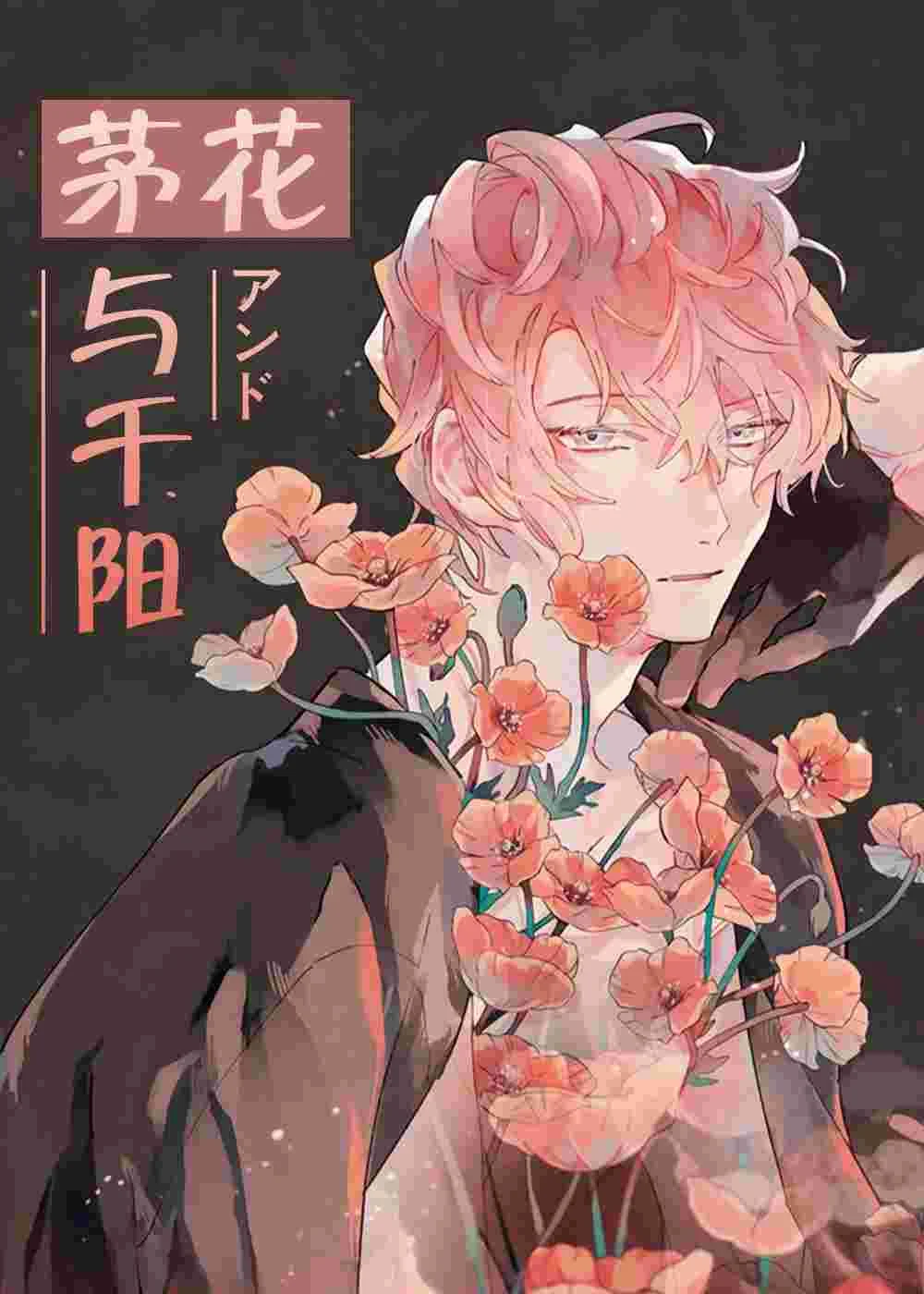 茅花与千阳封面