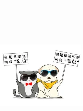 草总和戈总封面