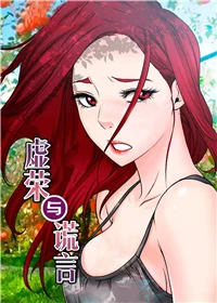 虚荣与谎言封面