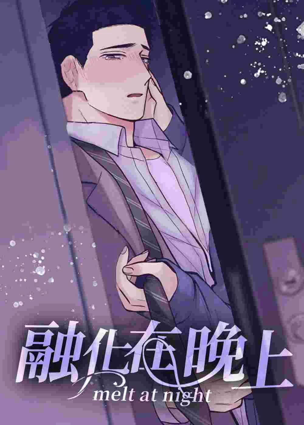 融化在晚上封面