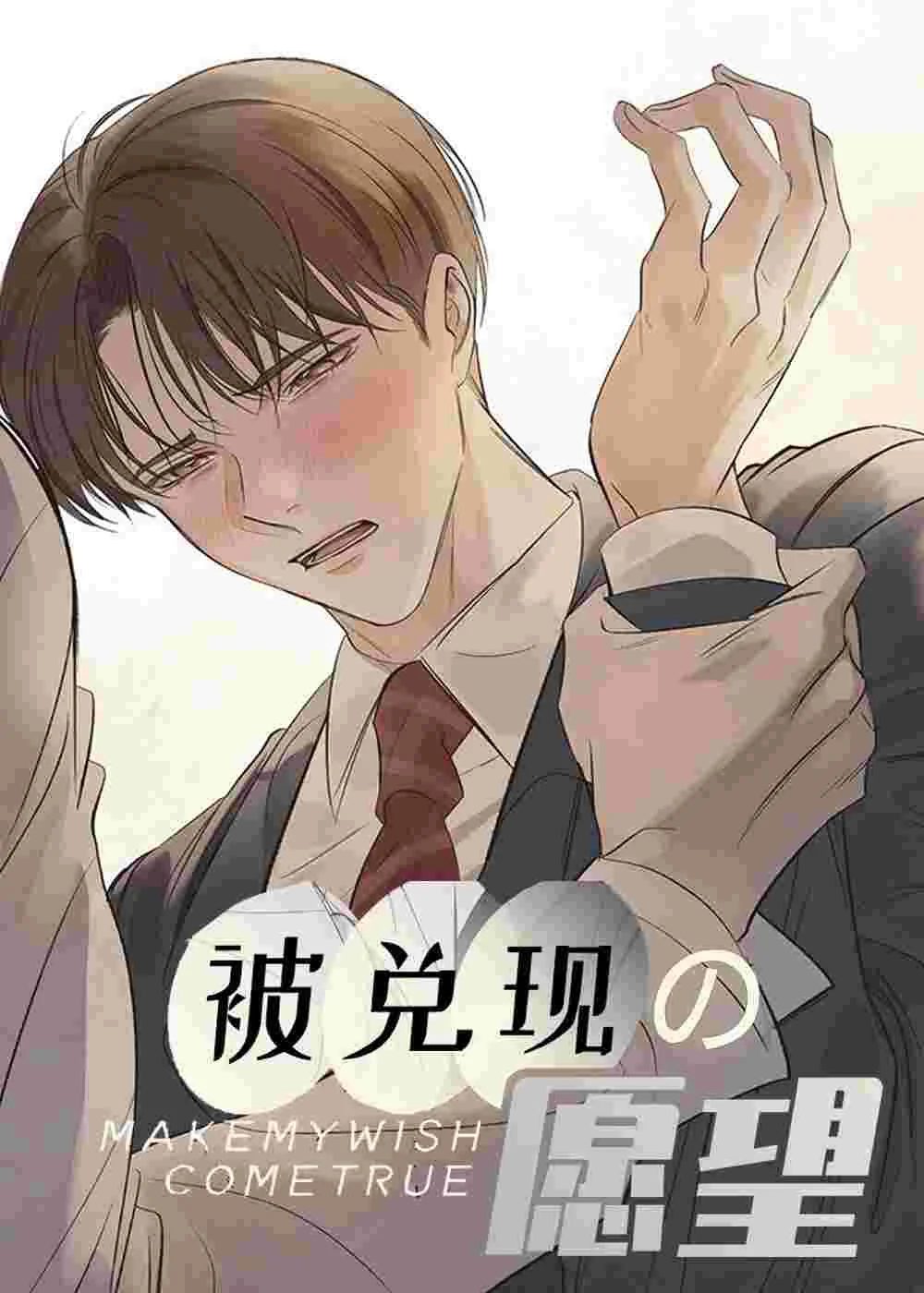 被兑现的愿望封面