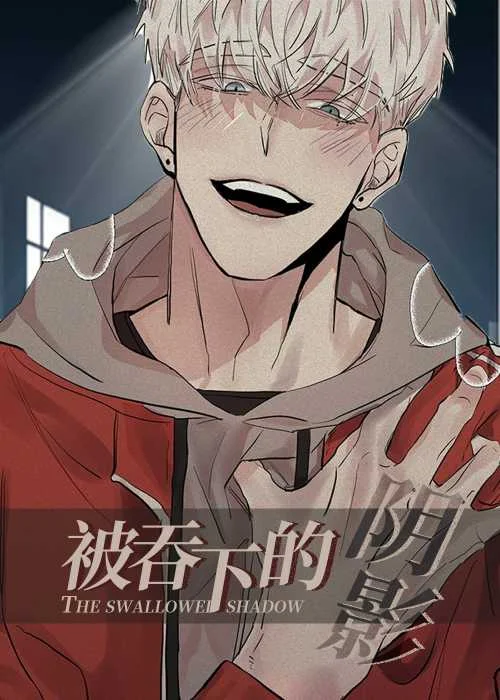 被吞下的阴影封面