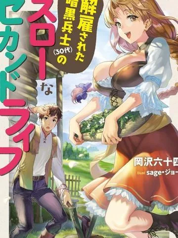 被解雇的暗黑士兵慢生活的第二人生封面