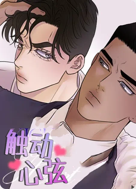 触动心弦封面