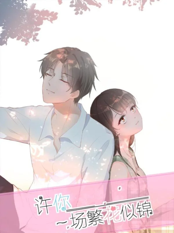 许你一场繁花似锦封面