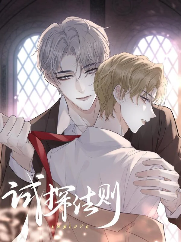 试探法则封面