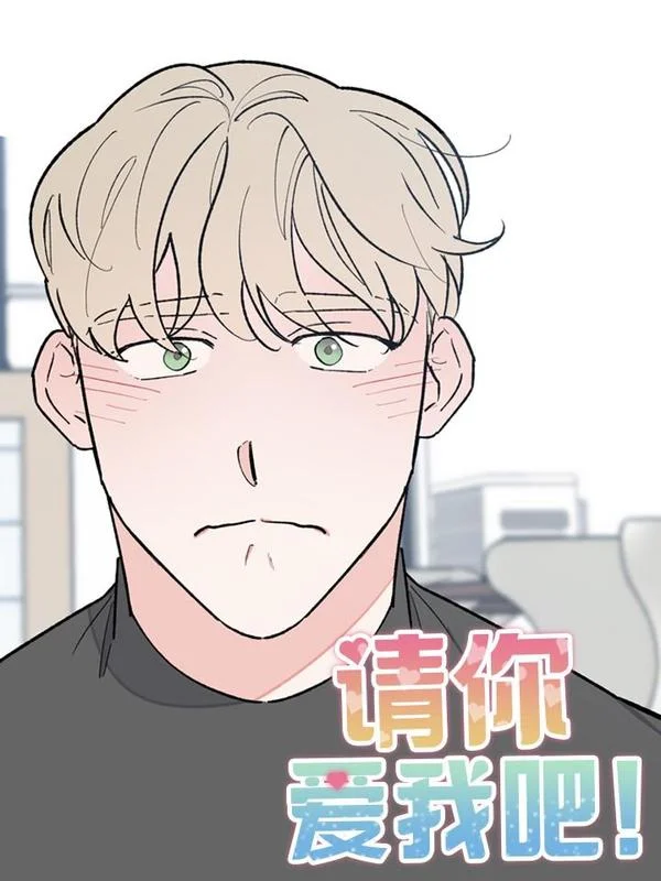 请你爱我吧封面