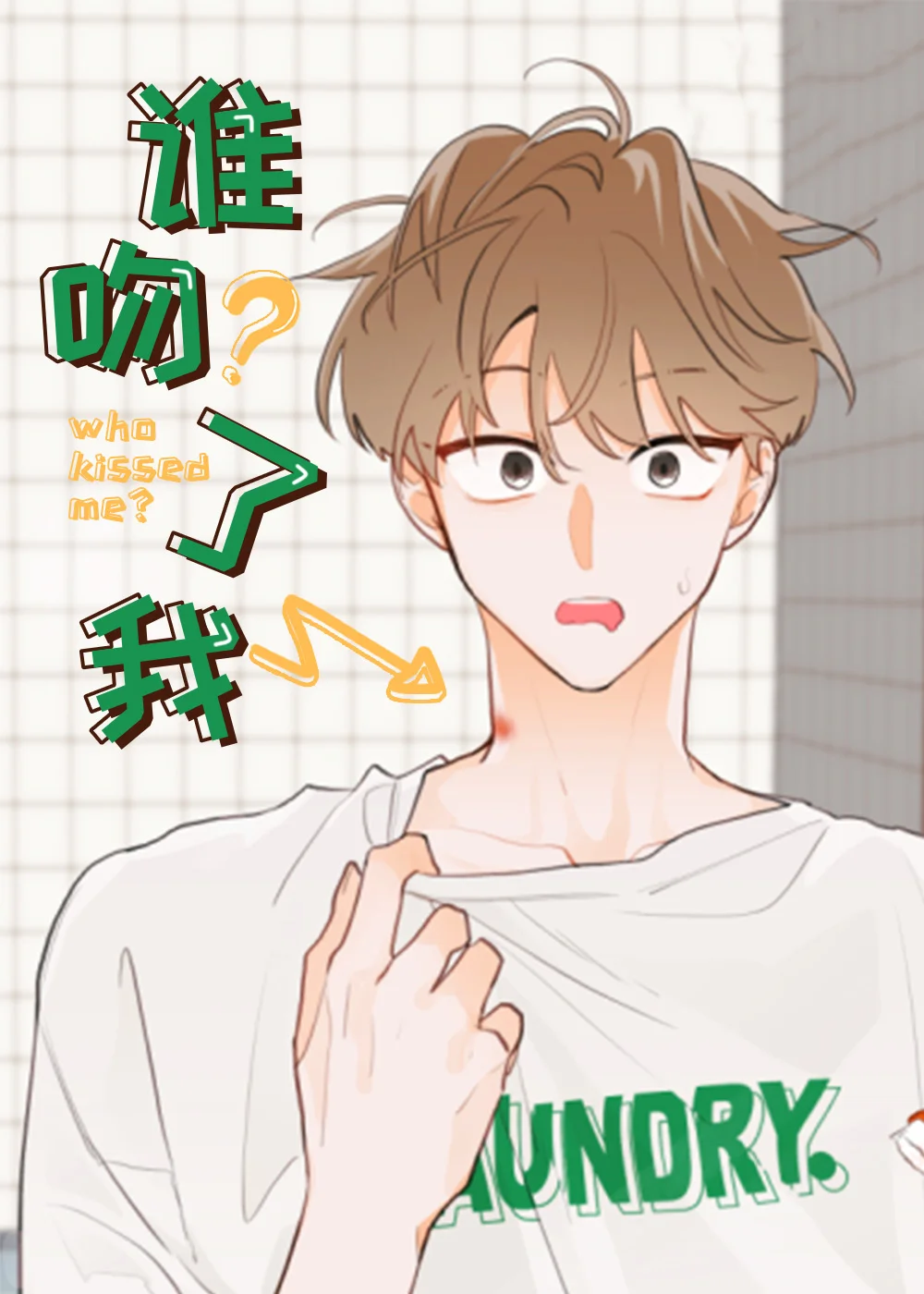谁吻了我封面