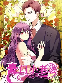 豪门小老婆封面