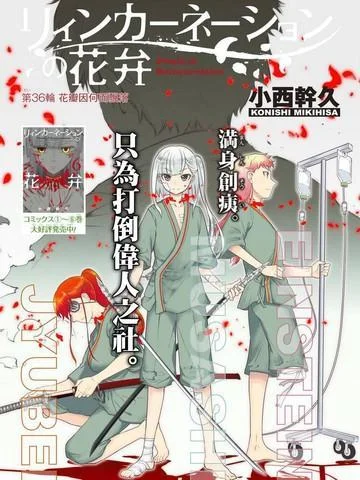 轮回的花瓣封面