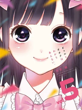 辣妹和阿宅无法互相理解封面