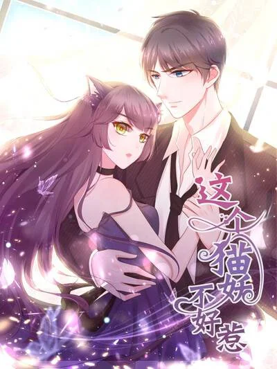 这个猫妖不好惹封面