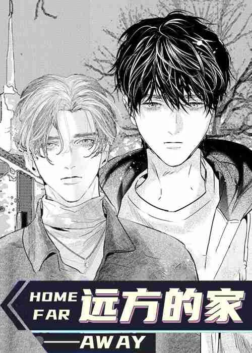 远方的家封面