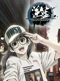 逆篮封面